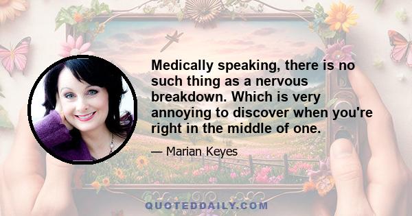 Medically speaking, there is no such thing as a nervous breakdown. Which is very annoying to discover when you're right in the middle of one.