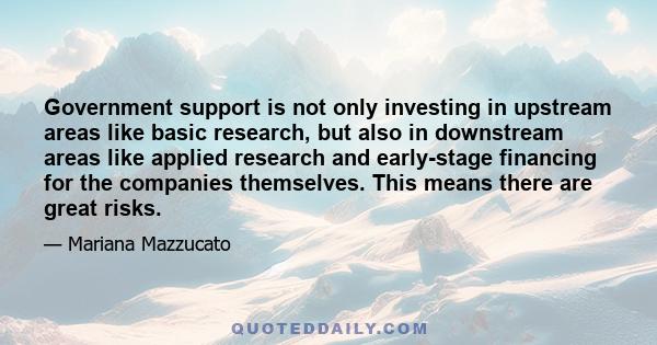 Government support is not only investing in upstream areas like basic research, but also in downstream areas like applied research and early-stage financing for the companies themselves. This means there are great risks.