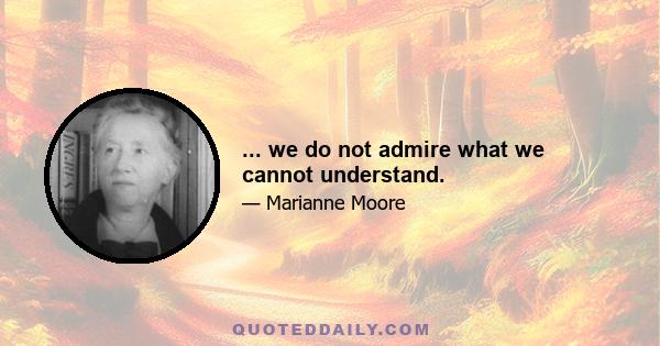 ... we do not admire what we cannot understand.