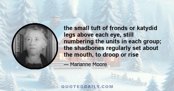 the small tuft of fronds or katydid legs above each eye, still numbering the units in each group; the shadbones regularly set about the mouth, to droop or rise