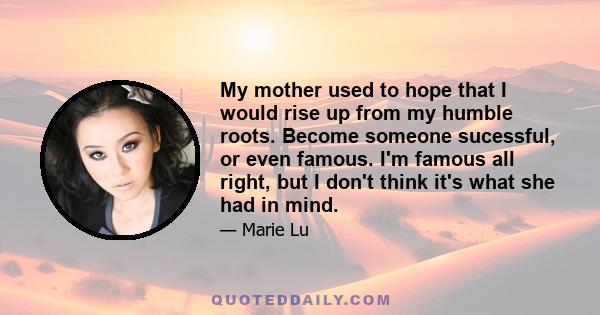 My mother used to hope that I would rise up from my humble roots. Become someone sucessful, or even famous. I'm famous all right, but I don't think it's what she had in mind.