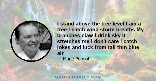 I stand above the tree level I am a tree I catch wind storm breaths My branches claw I drink sky It stretches me I don't care I catch jokes and luck from tall thin blue air