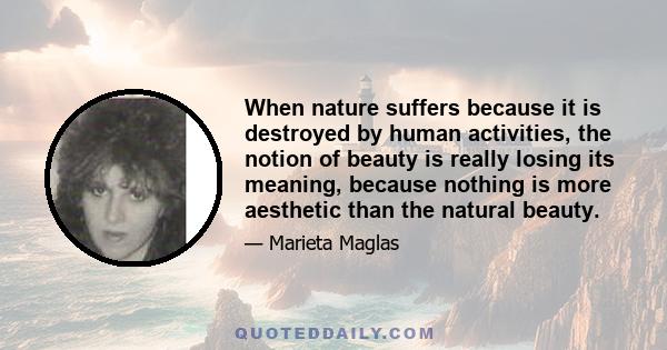 When nature suffers because it is destroyed by human activities, the notion of beauty is really losing its meaning, because nothing is more aesthetic than the natural beauty.