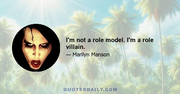 I'm not a role model. I'm a role villain.