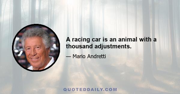 A racing car is an animal with a thousand adjustments.