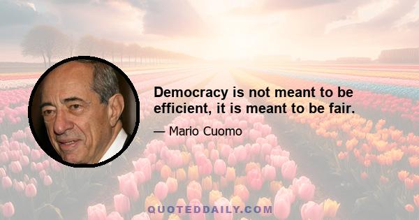 Democracy is not meant to be efficient, it is meant to be fair.