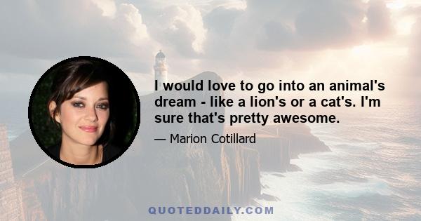 I would love to go into an animal's dream - like a lion's or a cat's. I'm sure that's pretty awesome.