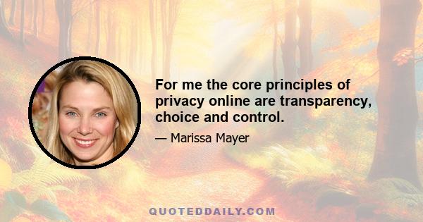 For me the core principles of privacy online are transparency, choice and control.