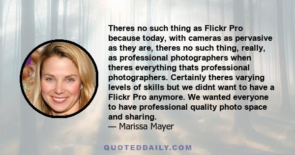 Theres no such thing as Flickr Pro because today, with cameras as pervasive as they are, theres no such thing, really, as professional photographers when theres everything thats professional photographers. Certainly