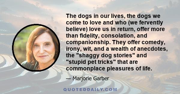 The dogs in our lives, the dogs we come to love and who (we fervently believe) love us in return, offer more than fidelity, consolation, and companionship. They offer comedy, irony, wit, and a wealth of anecdotes, the