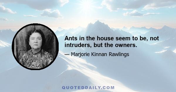 Ants in the house seem to be, not intruders, but the owners.