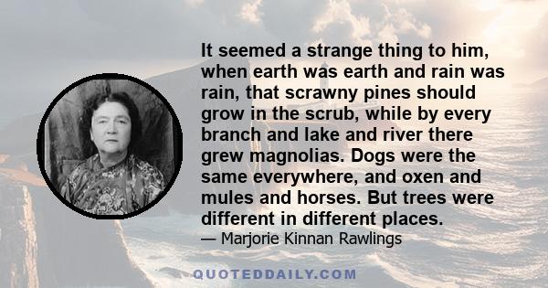 It seemed a strange thing to him, when earth was earth and rain was rain, that scrawny pines should grow in the scrub, while by every branch and lake and river there grew magnolias. Dogs were the same everywhere, and