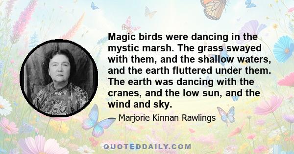 Magic birds were dancing in the mystic marsh. The grass swayed with them, and the shallow waters, and the earth fluttered under them. The earth was dancing with the cranes, and the low sun, and the wind and sky.