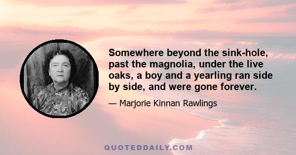 Somewhere beyond the sink-hole, past the magnolia, under the live oaks, a boy and a yearling ran side by side, and were gone forever.