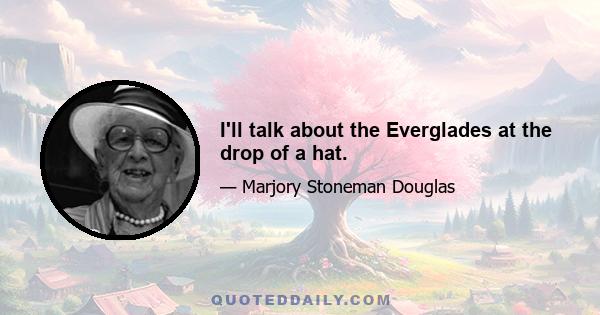 I'll talk about the Everglades at the drop of a hat.