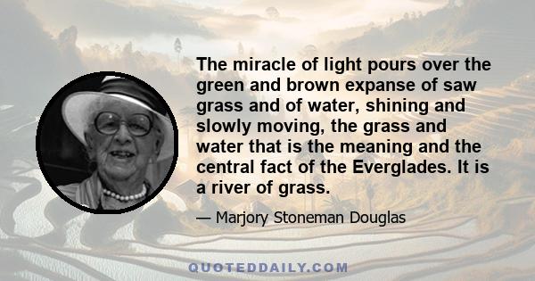 The miracle of light pours over the green and brown expanse of saw grass and of water, shining and slowly moving, the grass and water that is the meaning and the central fact of the Everglades. It is a river of grass.