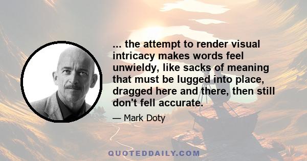 ... the attempt to render visual intricacy makes words feel unwieldy, like sacks of meaning that must be lugged into place, dragged here and there, then still don't fell accurate.