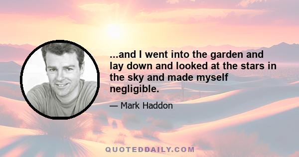 ...and I went into the garden and lay down and looked at the stars in the sky and made myself negligible.