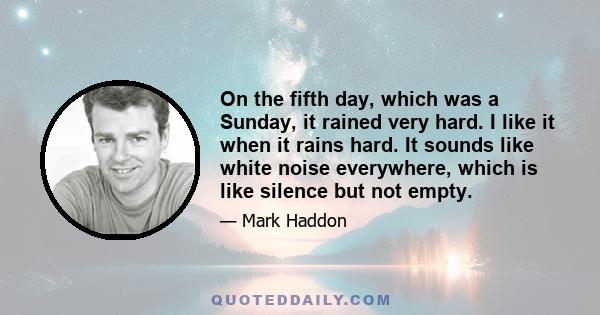 On the fifth day, which was a Sunday, it rained very hard. I like it when it rains hard. It sounds like white noise everywhere, which is like silence but not empty.