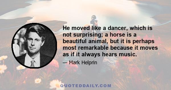 He moved like a dancer, which is not surprising; a horse is a beautiful animal, but it is perhaps most remarkable because it moves as if it always hears music.