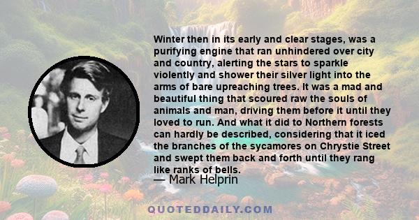 Winter then in its early and clear stages, was a purifying engine that ran unhindered over city and country, alerting the stars to sparkle violently and shower their silver light into the arms of bare upreaching trees.