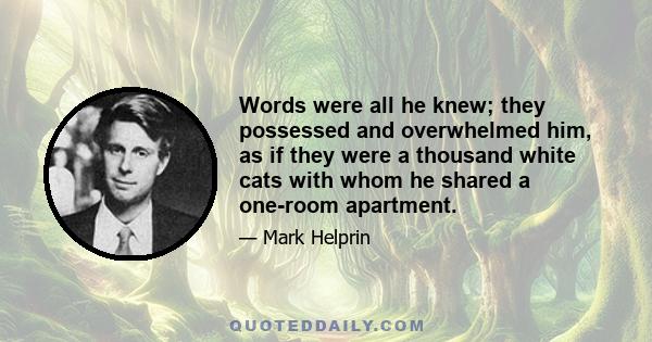 Words were all he knew; they possessed and overwhelmed him, as if they were a thousand white cats with whom he shared a one-room apartment.