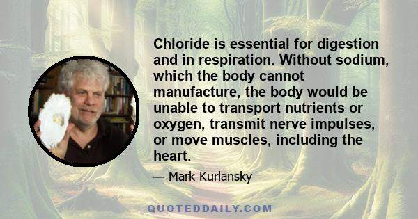 Chloride is essential for digestion and in respiration. Without sodium, which the body cannot manufacture, the body would be unable to transport nutrients or oxygen, transmit nerve impulses, or move muscles, including