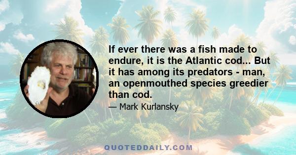 If ever there was a fish made to endure, it is the Atlantic cod... But it has among its predators - man, an openmouthed species greedier than cod.