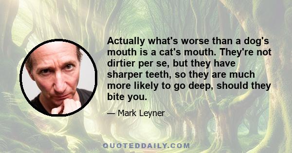 Actually what's worse than a dog's mouth is a cat's mouth. They're not dirtier per se, but they have sharper teeth, so they are much more likely to go deep, should they bite you.