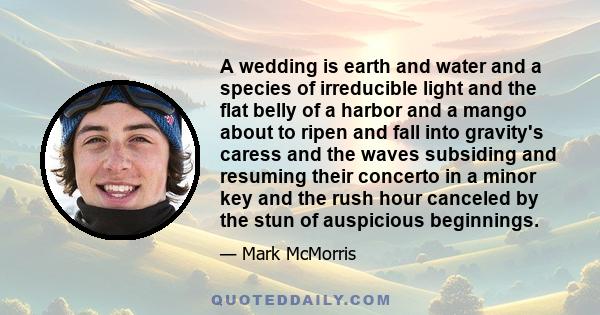 A wedding is earth and water and a species of irreducible light and the flat belly of a harbor and a mango about to ripen and fall into gravity's caress and the waves subsiding and resuming their concerto in a minor key 