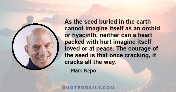 As the seed buried in the earth cannot imagine itself as an orchid or hyacinth, neither can a heart packed with hurt imagine itself loved or at peace. The courage of the seed is that once cracking, it cracks all the way.