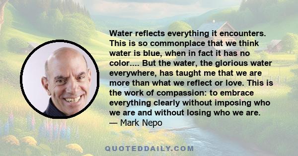 Water reflects everything it encounters. This is so commonplace that we think water is blue, when in fact it has no color.... But the water, the glorious water everywhere, has taught me that we are more than what we