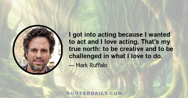 I got into acting because I wanted to act and I love acting. That's my true north: to be creative and to be challenged in what I love to do.