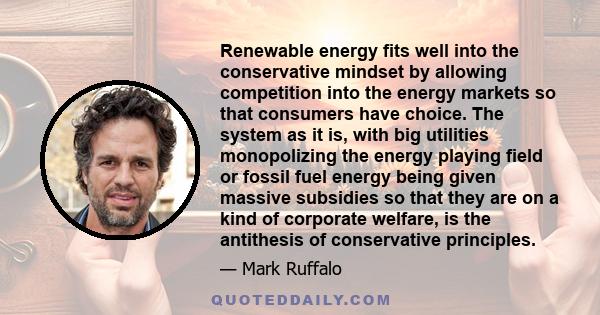 Renewable energy fits well into the conservative mindset by allowing competition into the energy markets so that consumers have choice. The system as it is, with big utilities monopolizing the energy playing field or