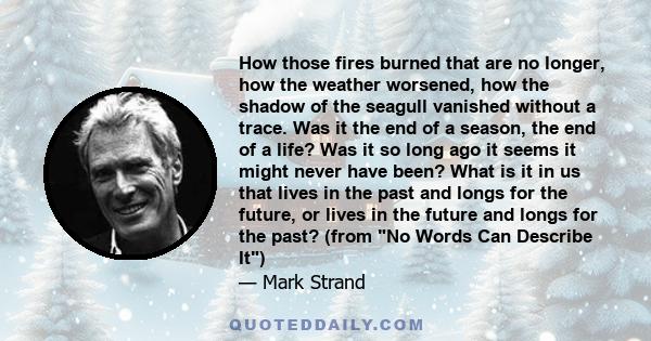 How those fires burned that are no longer, how the weather worsened, how the shadow of the seagull vanished without a trace. Was it the end of a season, the end of a life? Was it so long ago it seems it might never have 