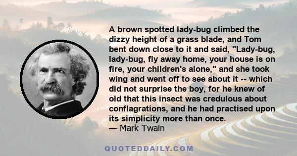 A brown spotted lady-bug climbed the dizzy height of a grass blade, and Tom bent down close to it and said, Lady-bug, lady-bug, fly away home, your house is on fire, your children's alone, and she took wing and went off 