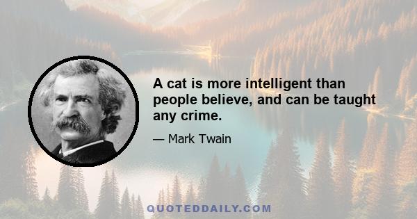 A cat is more intelligent than people believe, and can be taught any crime.