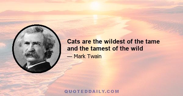 Cats are the wildest of the tame and the tamest of the wild