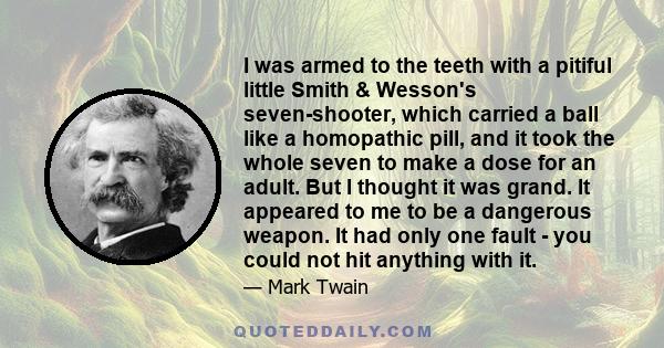 I was armed to the teeth with a pitiful little Smith & Wesson's seven-shooter, which carried a ball like a homopathic pill, and it took the whole seven to make a dose for an adult. But I thought it was grand. It