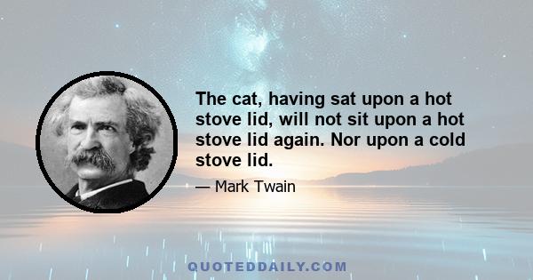 The cat, having sat upon a hot stove lid, will not sit upon a hot stove lid again. Nor upon a cold stove lid.