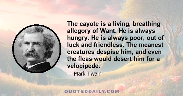 The cayote is a living, breathing allegory of Want. He is always hungry. He is always poor, out of luck and friendless. The meanest creatures despise him, and even the fleas would desert him for a velocipede.