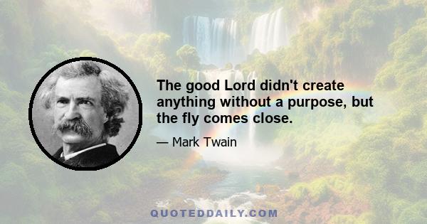 The good Lord didn't create anything without a purpose, but the fly comes close.