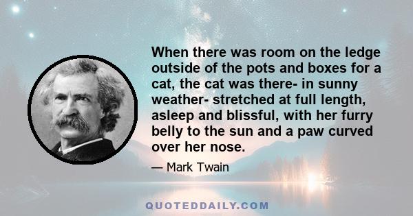 When there was room on the ledge outside of the pots and boxes for a cat, the cat was there- in sunny weather- stretched at full length, asleep and blissful, with her furry belly to the sun and a paw curved over her