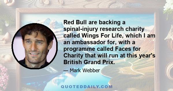 Red Bull are backing a spinal-injury research charity called Wings For Life, which I am an ambassador for, with a programme called Faces for Charity that will run at this year's British Grand Prix.