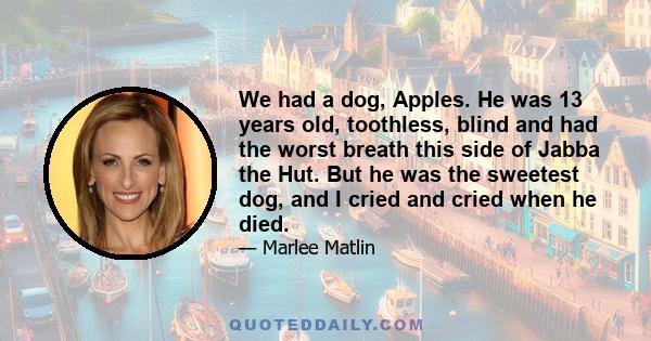 We had a dog, Apples. He was 13 years old, toothless, blind and had the worst breath this side of Jabba the Hut. But he was the sweetest dog, and I cried and cried when he died.