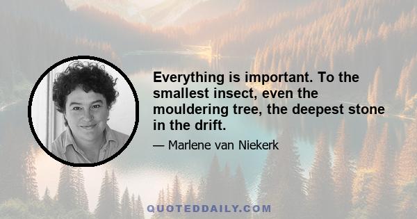 Everything is important. To the smallest insect, even the mouldering tree, the deepest stone in the drift.