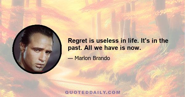 Regret is useless in life. It's in the past. All we have is now.