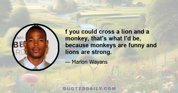 f you could cross a lion and a monkey, that's what I'd be, because monkeys are funny and lions are strong.