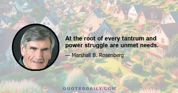 At the root of every tantrum and power struggle are unmet needs.