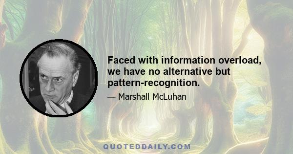 Faced with information overload, we have no alternative but pattern-recognition.